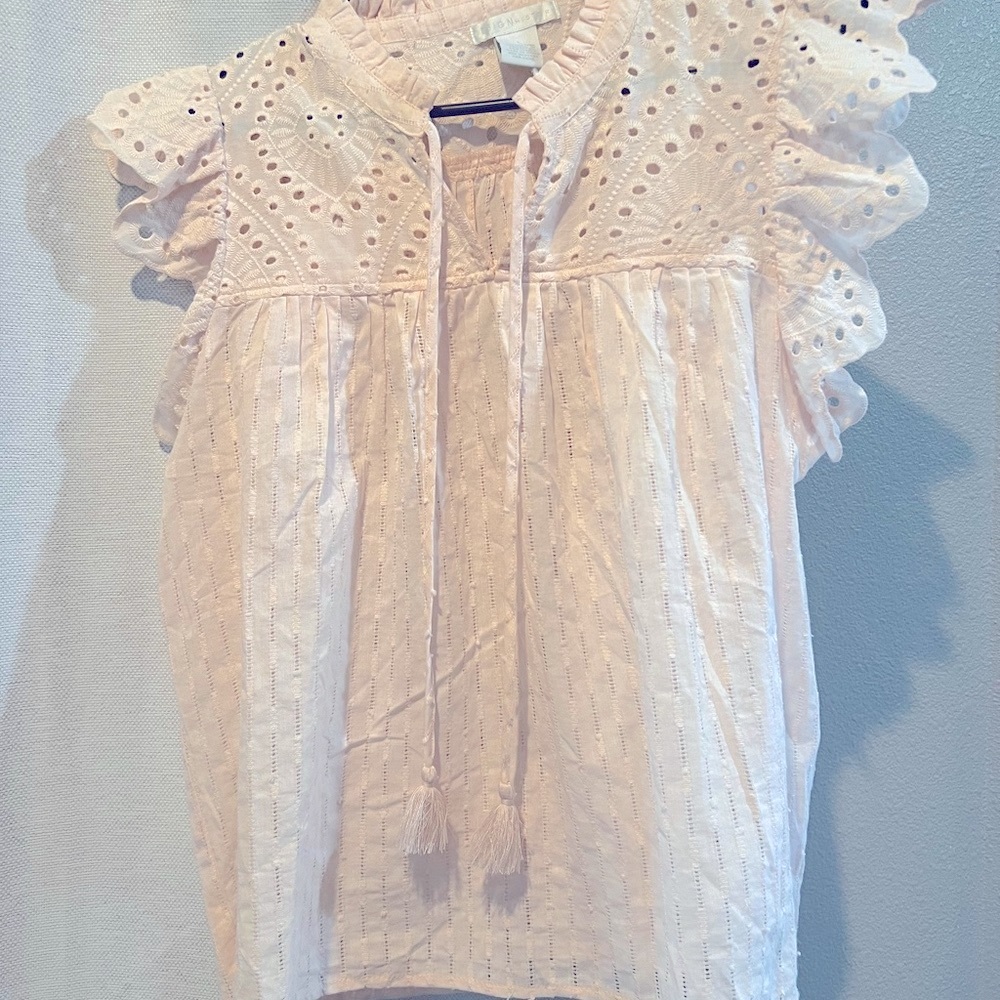 NWOT Eyelet Lace Ruffle Sleeve Top - Blush